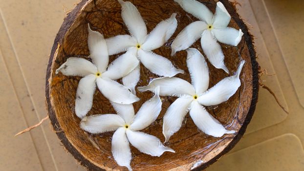 White flowers in a coconut bowl vase, floral background. High quality photo