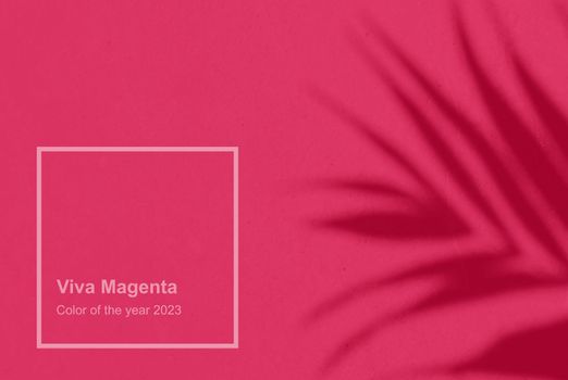 Shadow leaf dypsis on Viva Magenta color wall. Viva Magenta Pantone color of the year 2023. Monochrome background. High quality photo