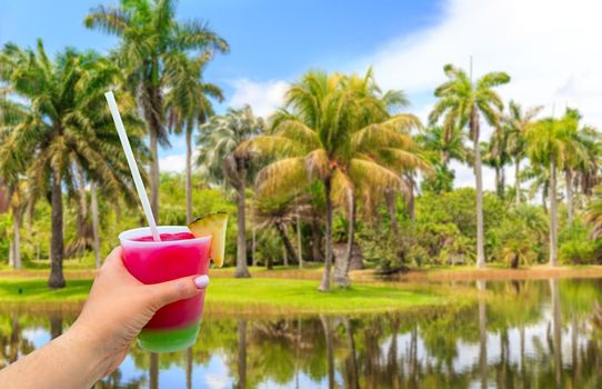 Hand holding a glass with cocktail and straw and Beautiful Palm trees in blue sky background with clouds