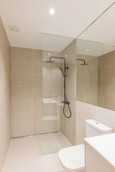 Modern minimalist bathroom with shower zone, rain head, hand held shower and glass partition