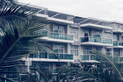Palm tree branches level windows multi-storey building modern green glass balcony. Architecture background.