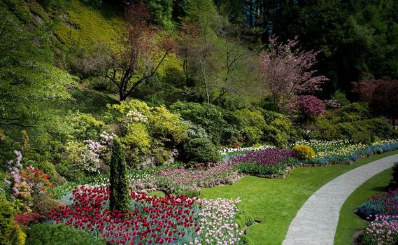 Buchart Garden blooms in Victoria, British Columbia