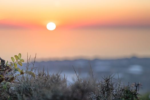 Blurred background of beautiful pink sunset over sea and city from height, with grass in foreground, copy space