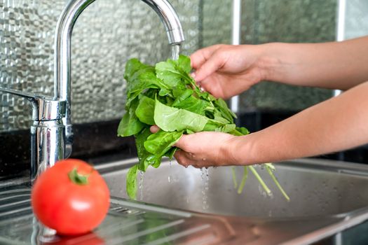 Woman washes fresh spinach over sink, hands and greenery, close-up, without a face
