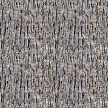 Seamless texture of brown palm tree bark. Natural background