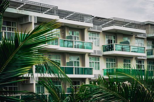 Palm tree branches level windows multi-storey building modern green glass balcony. Architecture background.