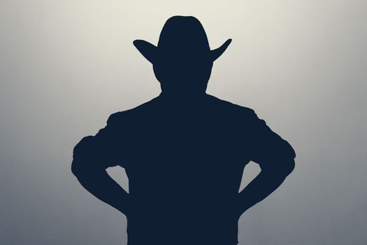 Unknown male person in cowboy hat silhouette in studio. Concept of anonymous or hidden secret.