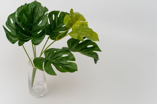 artificial monstera leaves in a glass cup on a white background. Close-up. Artificial plant, Philodendron monstera, home interior