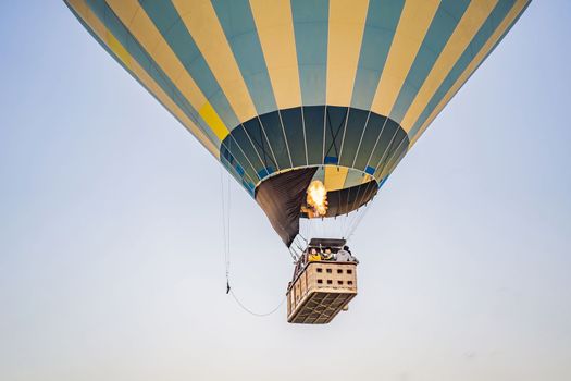 Beautiful hot air balloons over blue sky.