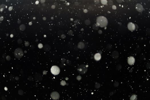 Winter snowy landscape . Snowy background. Snowflakes are flying.