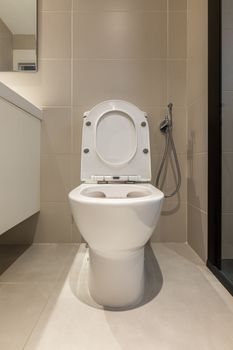 Raised toilet seat and bidet shower with wall mount in interior of modern bathroom.