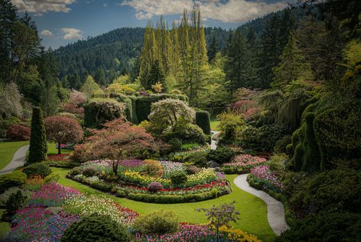 Buchart Gardens Mystical Spring Gardens