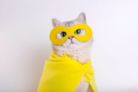 Close up of funny white cat in a yellow superhero costume: yellow mask and cape, sitting on a white background, looking at camera. Copy space