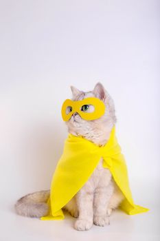 Funny white cat in a yellow superhero costume: yellow mask and cape, sitting on a white background, looking away. Copy space.Vertical