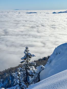 Winter mountains covered with snow landscape over clouds. High quality photo