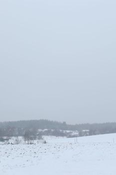 Rural beautiful winter landscape. Non-urban scene. New Year, Christmas. Copy space. Picturesque view of countryside on a frosty winter day