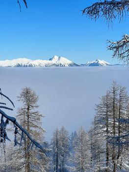 winter mountain landscape peaks and trees snow covered. High quality photo