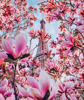 Seine in Paris with Eiffel Tower in sunrise time. High quality photo