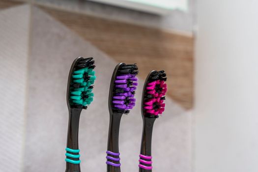 three multi-colored toothbrushes stand in a special stand in the bathroom interior. close-up. daily oral hygiene products