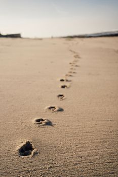 Minimalistic scene of one set of foot prints in sand diminishing in the background.