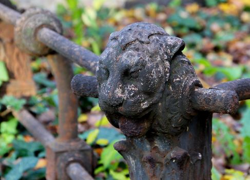 Eroded weathered gray fence lion head ornament. High quality photo