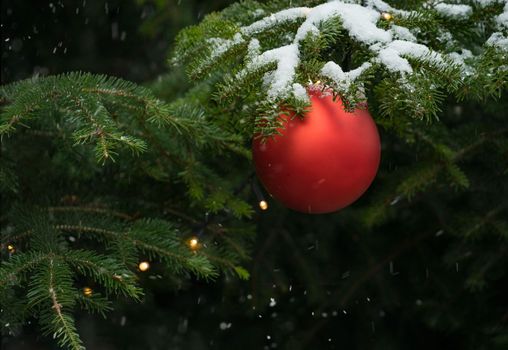 Merry Christmas and Happy Holidays greeting card, frame, banner. New Year. Noel. Red Christmas ball and gift on green pine tree branches background top view. Winter xmas holiday theme. High quality photo