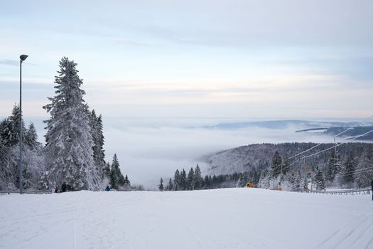 magnificent winter landscape on Wasserkuppe mountain in Ren, Hesse, Germany. magical tall and large pines and snowy firs covered with snow and ice. The horizon creates an illusion and merges with the cloudy sky and fog, which covers all the space visible in the distance. High quality photo