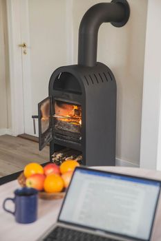 The writer writes a novel near the fireplace.