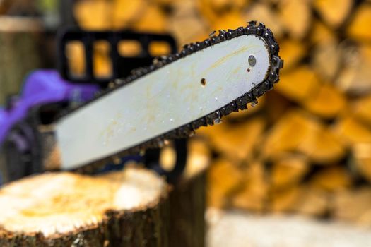 Close-up of the cutting tire and chainsaw cutting chain. electric chain saw on the background of a sawn tree. Firewood harvesting, forest clearing. Professional tool
