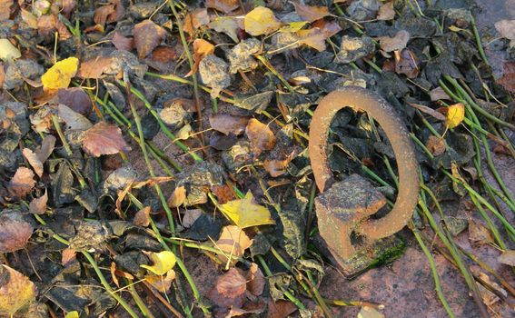 cemetery grave lid rusty handle with withered flowers. High quality photo