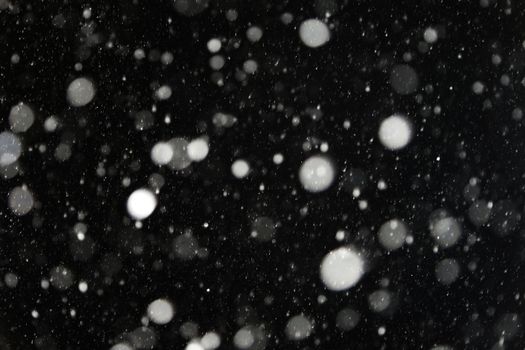 White snowflakes on a black background. Winter snow background. copy space