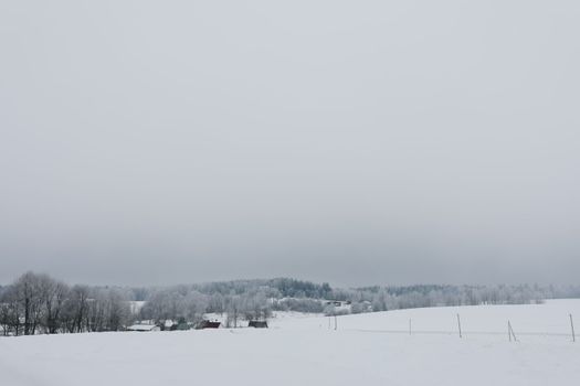 Rural beautiful winter landscape. Non-urban scene. New Year, Christmas. Copy space. Picturesque view of countryside on a frosty winter day