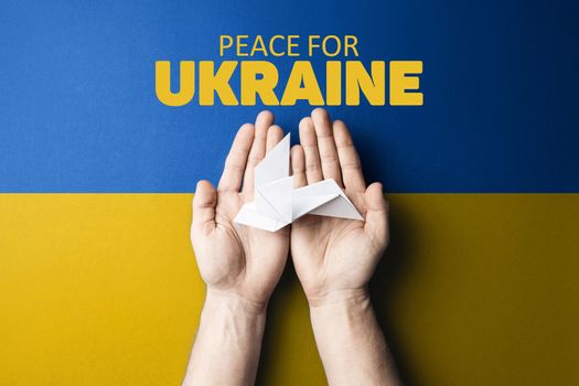 hands holding white paper dove with words peace for Ukraine on background of yellow and blue flag of ukraine. truth will win