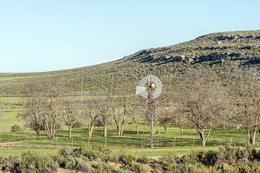 A landscape, with a windmill and leafless trees, at Vredehoek farm on the Bo-Visrivier road near Sutherland in the Northern Cape Province