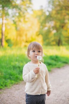 Lovely baby blowing on a dandelion in the park at sunset.