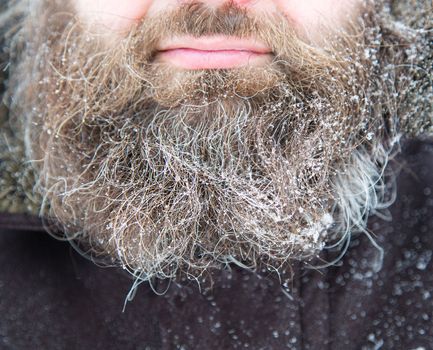 A man's beard covered with snow. The face of a bearded man in a snowstorm. A bearded male in a snowfall. A long, thick beard in winter.