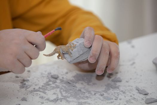 children's entertainment, a child plays in an archaeologist, children's hands dig dinosaur bones