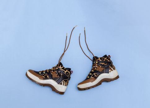 Women shoes brown leopard print on blue background. Modern autumn winter female boots. shopping concept.