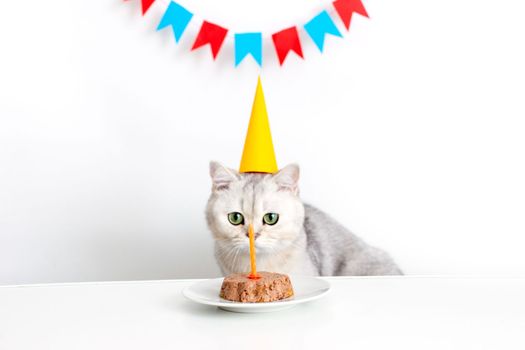 A funny white cat in a yellow paper cap sits at a white table and looks at a candle in a canned cat cake. Multi-colored flags hang in the background