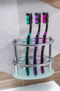three multi-colored toothbrushes stand in a special stand in the bathroom interior. close-up. daily oral hygiene products. vertical photo