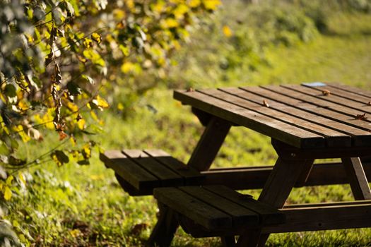 Place in the park for picnic and relaxation. Wooden table and benches.
