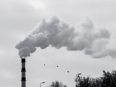 Gray smoke from the chimney against a background of gloomy sky. Smoke pollution of the environment.