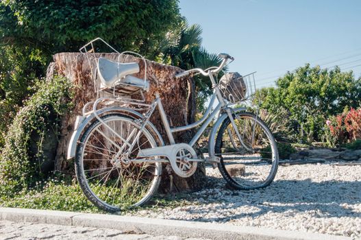 vintage woman bike parked on big cut trunk of a beautiful garden.