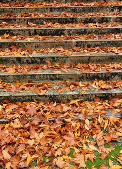 stairs with autumn leaves view on old stone steps in autumn park. High quality photo