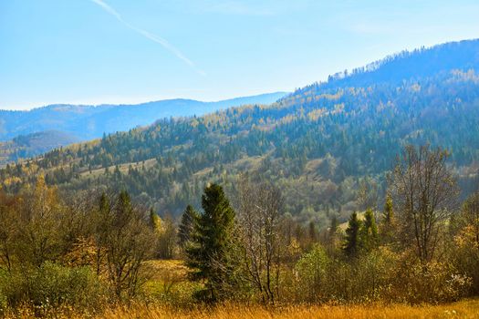 Autumn is one of the four temperate seasons. Outside the tropics, autumn marks the transition from summer to winterGolden bright autumn in the mountains on a warm day.