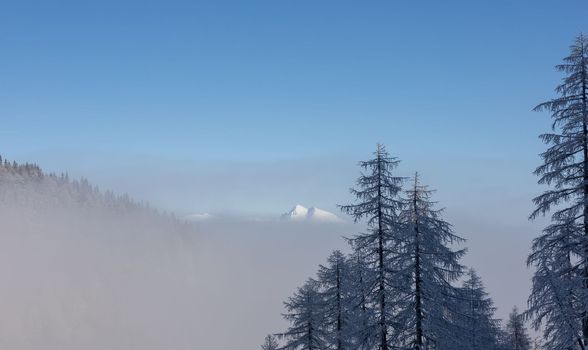 winter mountain landscape peaks and trees snow covered. High quality photo