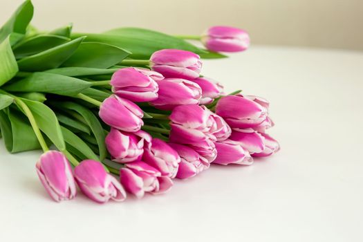 A big bouquet of beautiful pink tulips lies on a white table in daylight. copy space.