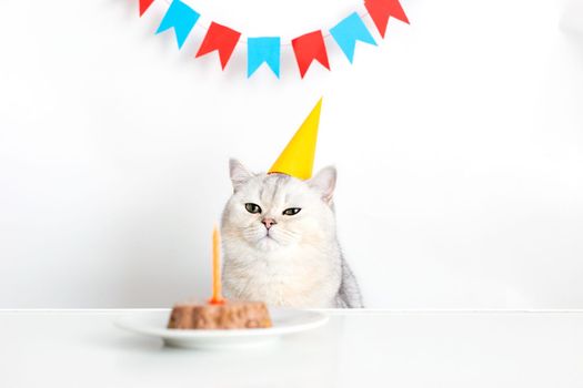 A disgruntled white cat in a yellow paper cap sits at a white table, a canned cake with a candle stands nearby. Multi-colored flags hang in the background