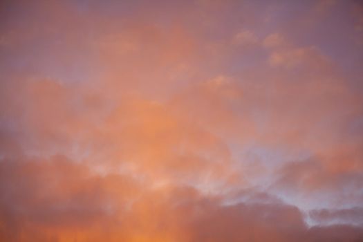 Colorful pink clouds in the sky at sunrise or sunset. Natural natural background.