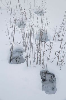 deep footprints in a snowy wild area.